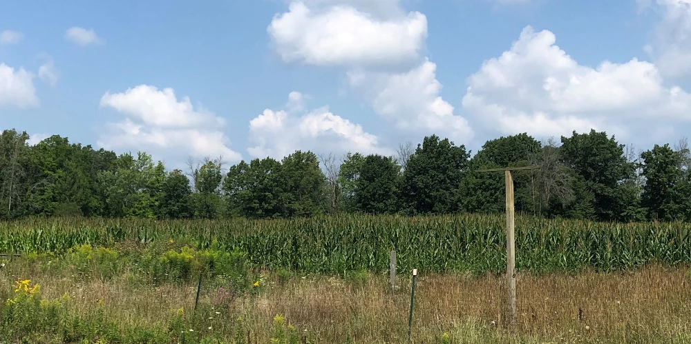 27.7+/- Acres Vacant Land