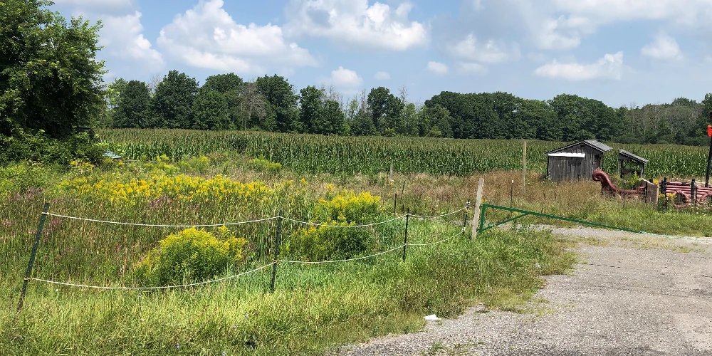27.7+/- Acres Vacant Land