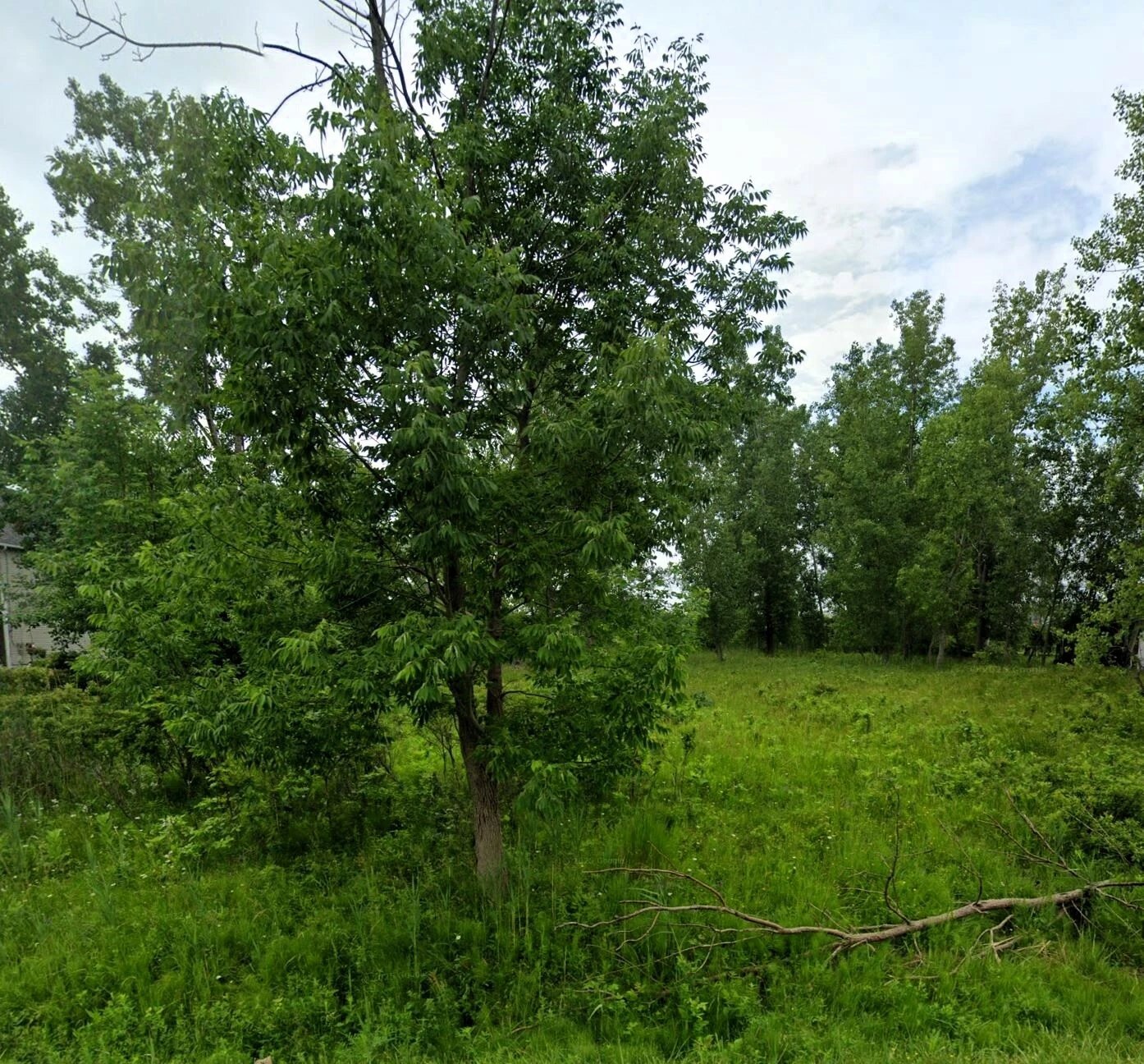 445 Seneca Creek Rd - 1.2+/- Acres Residential Land