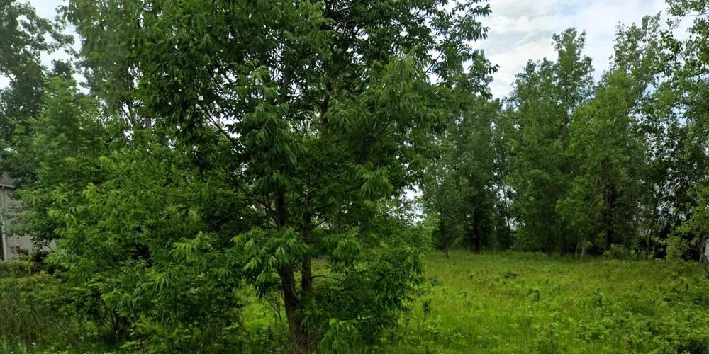 445 Seneca Creek Rd - 1.2+/- Acres Residential Land
