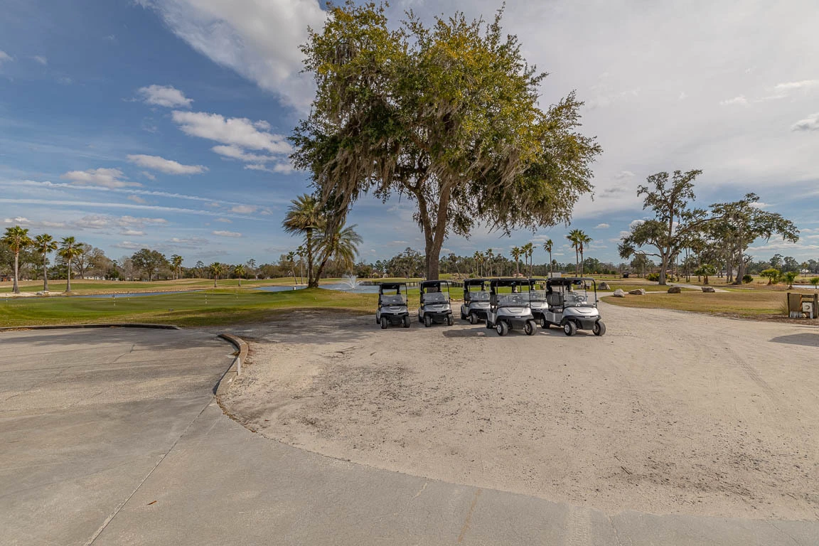 126 Clipper Bay, Brunswick, GA for sale