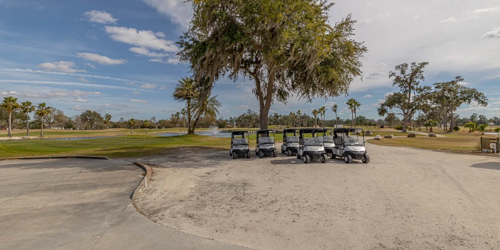 126 Clipper Bay, Brunswick, GA for sale