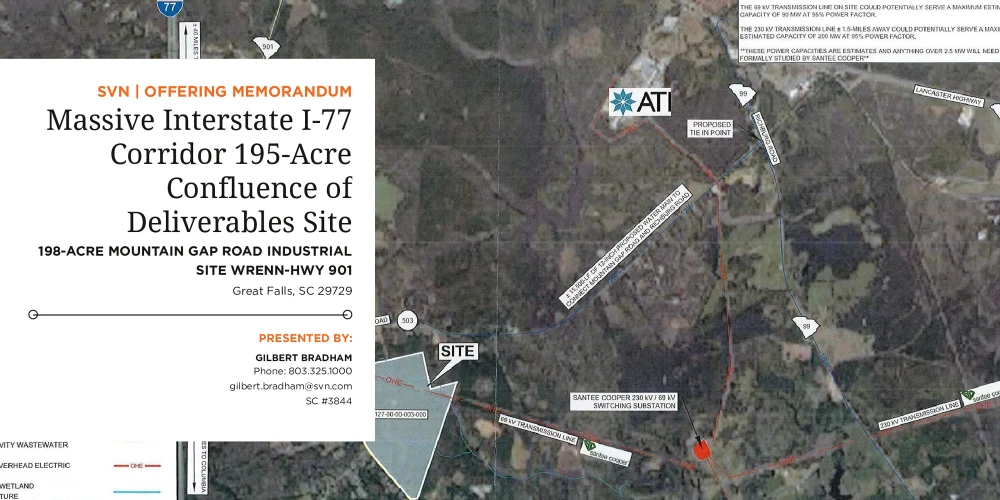 Twenty-Five Year Portfolio of Tax Sale Properties Across South Carolina Up to 100 + INDUSTRIAL DEVELOPMENT