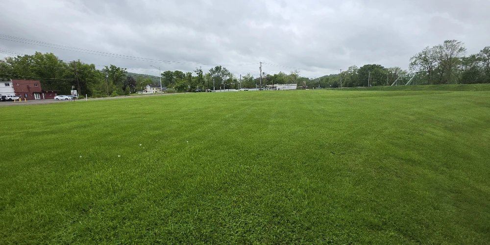 400 N Main St, Vestal, NY for sale