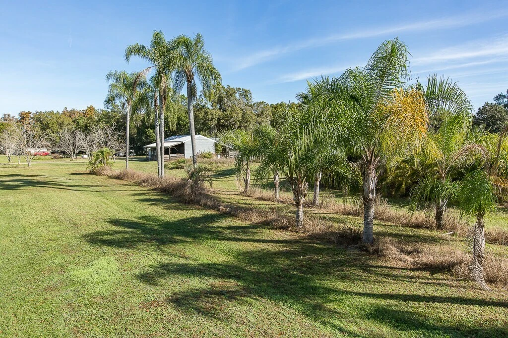 Shell Road Development