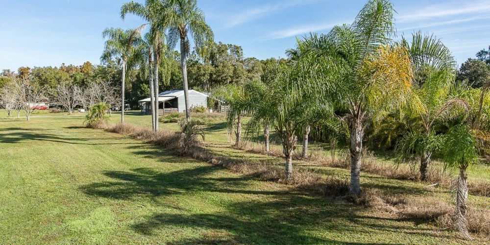 Shell Road Development