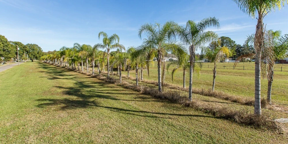 Shell Road Development