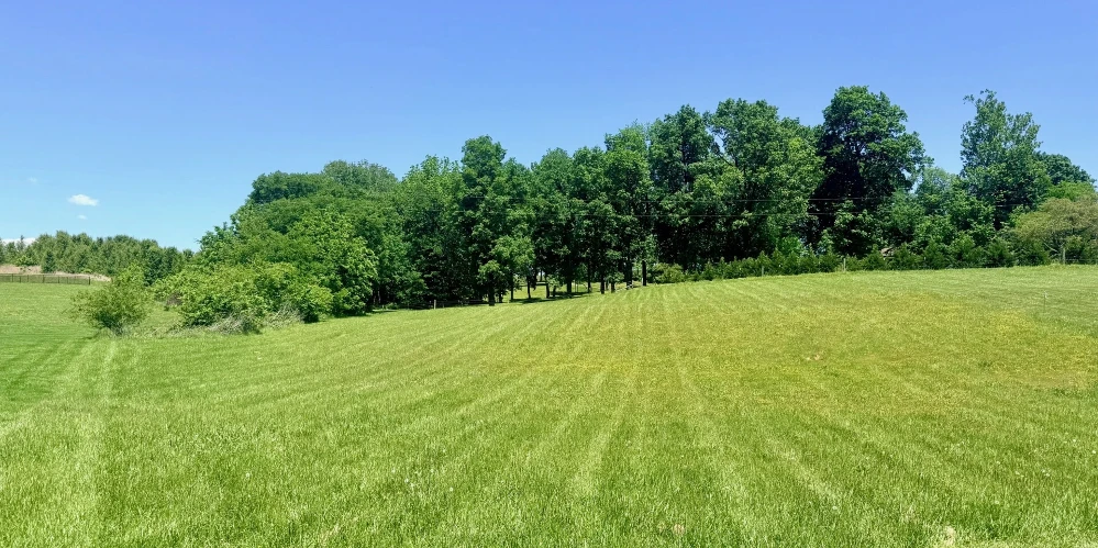 Cold Creek Estates