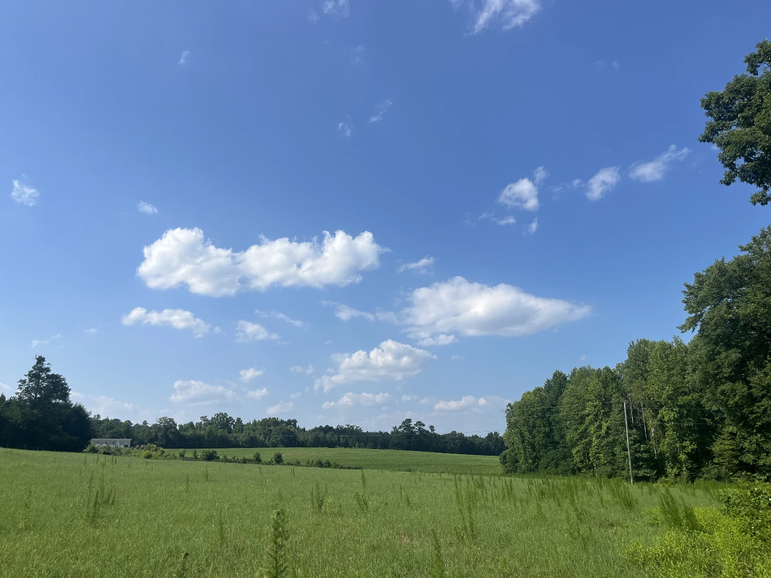 577 Thomas Kelly Road, Sanford, NC 27330