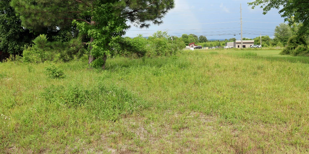 Hwy 431 land