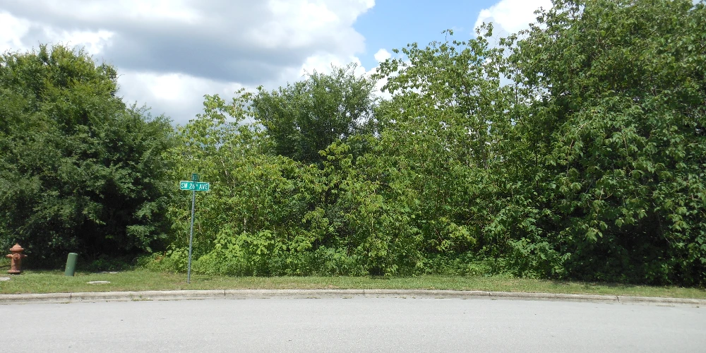 1.35 Acre SW 33rd Street