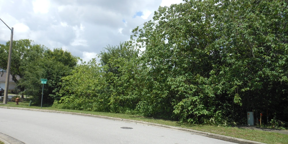 1.35 Acre SW 33rd Street
