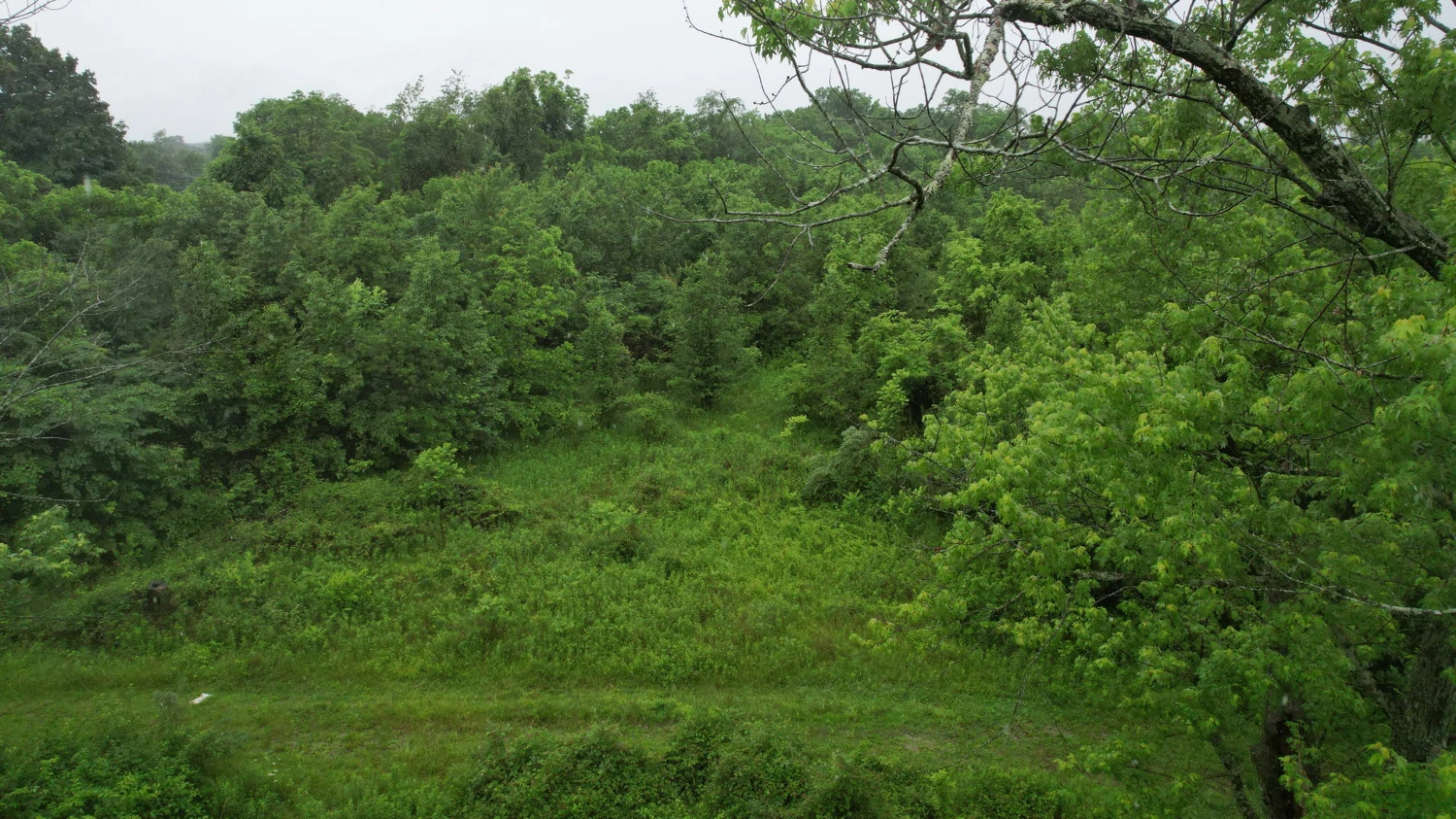 Development Land approved for 40 townhomes
