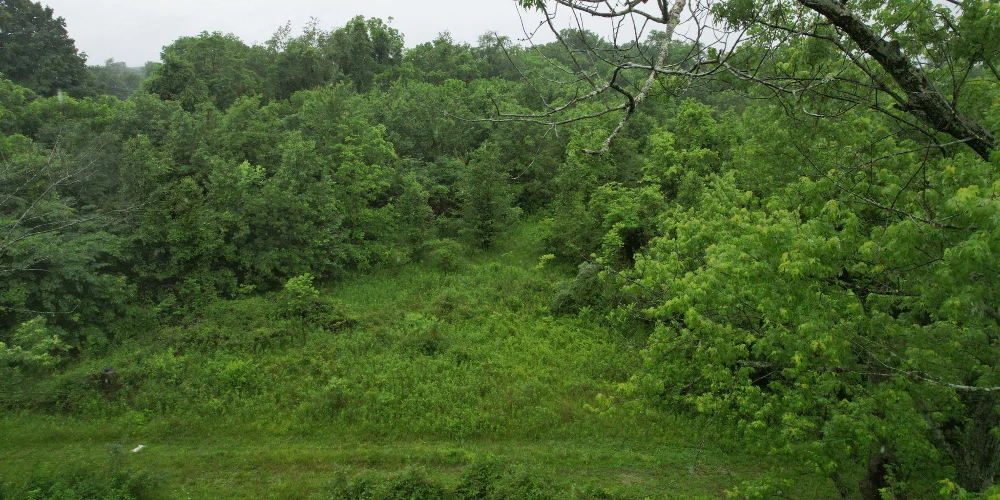 Development Land approved for 40 townhomes