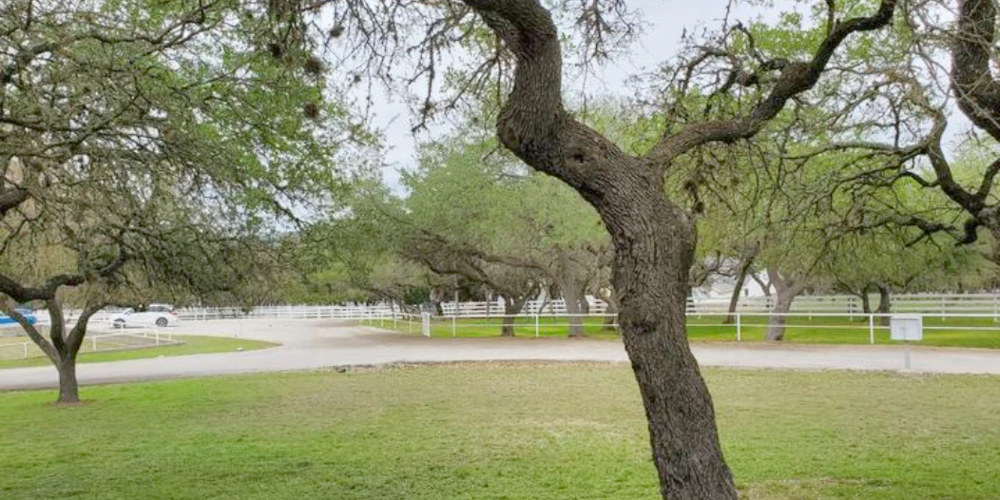 Victorian Oaks Apartments — 8-Unit Fully Furnished Multifamily | All Utilities Included | Bulverde, TX