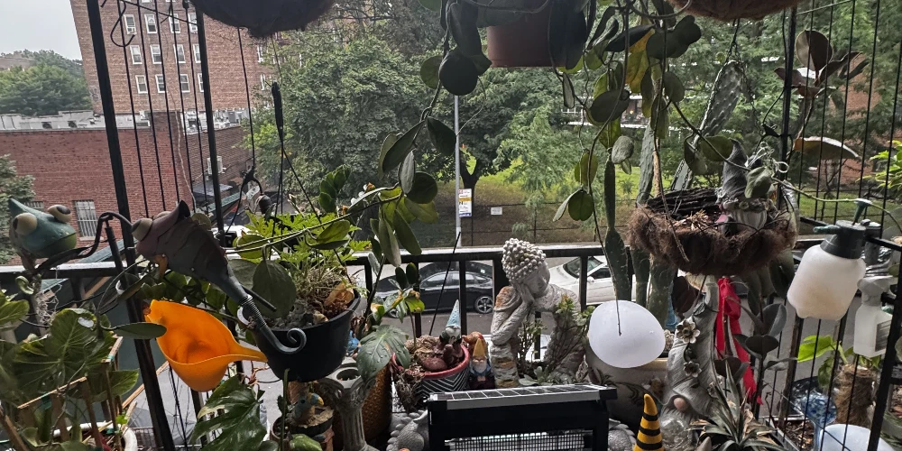 5 Family with 2 Car Garage 