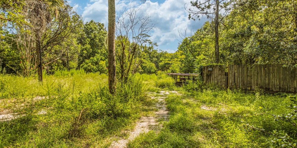 201 Brookview Dr N, Jacksonville, FL for sale