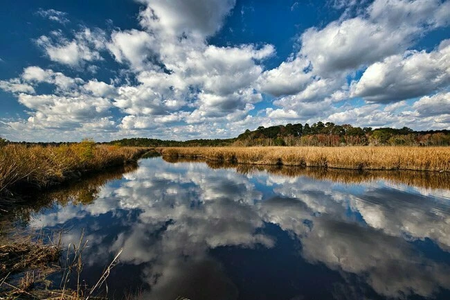SC Interstate I-95 Corridor Centric 49.8 AC Industrial/Distribution/IOS at I-95 Exit 53