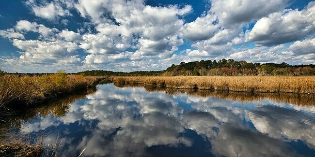 SC Interstate I-95 Corridor Centric 49.8 AC Industrial/Distribution/IOS at I-95 Exit 53