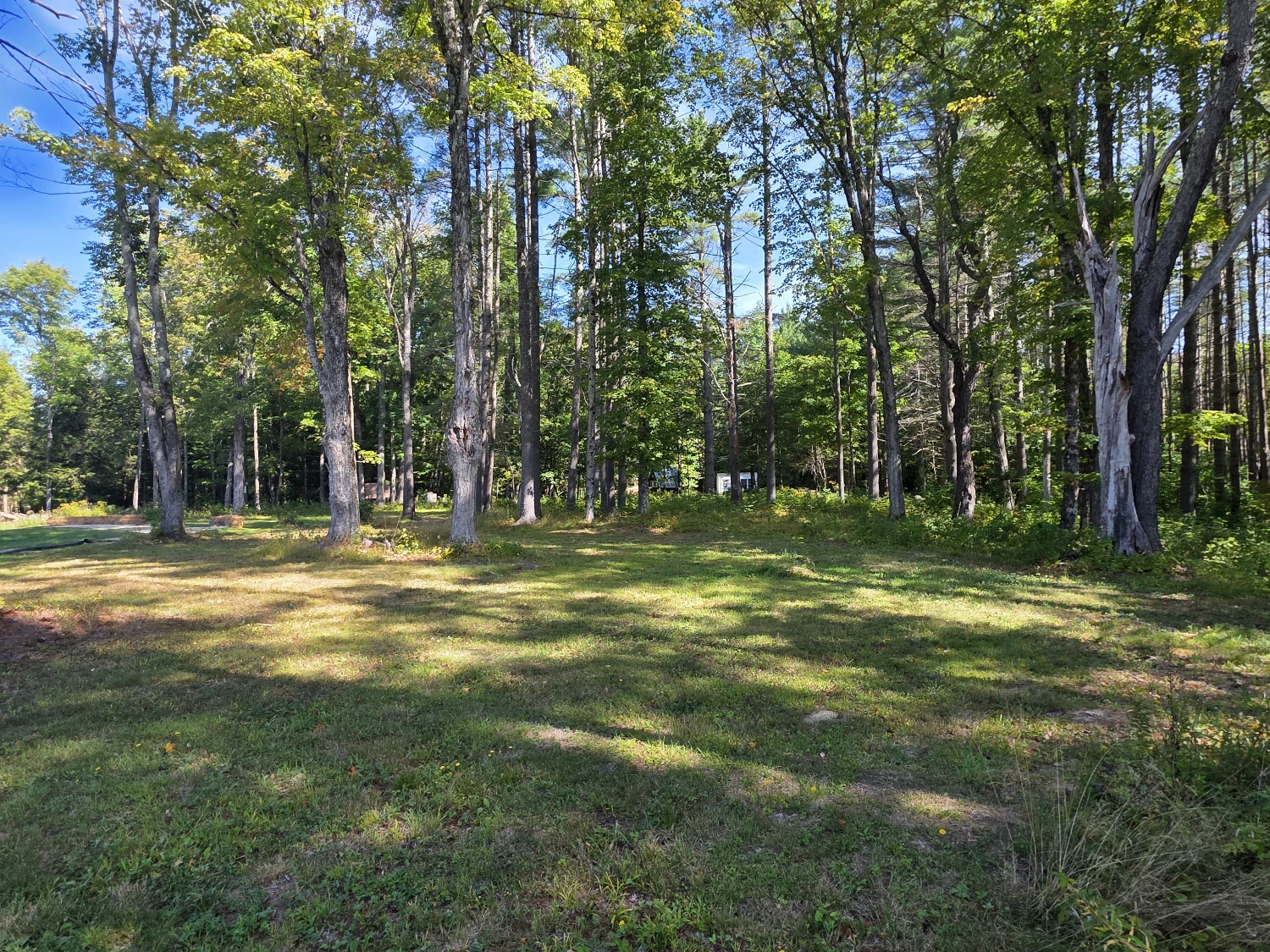 Campstore! | Adirondack Business + Land