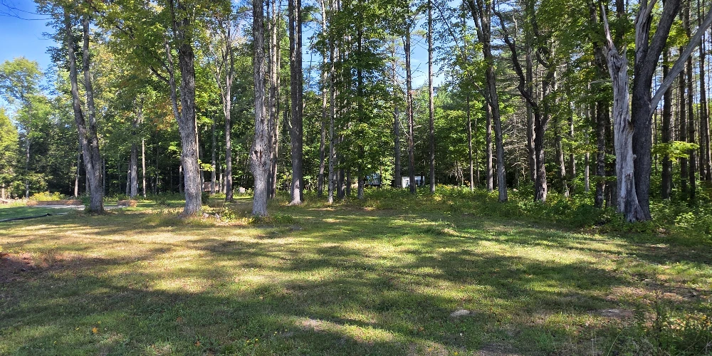 Campstore! | Adirondack Business + Land
