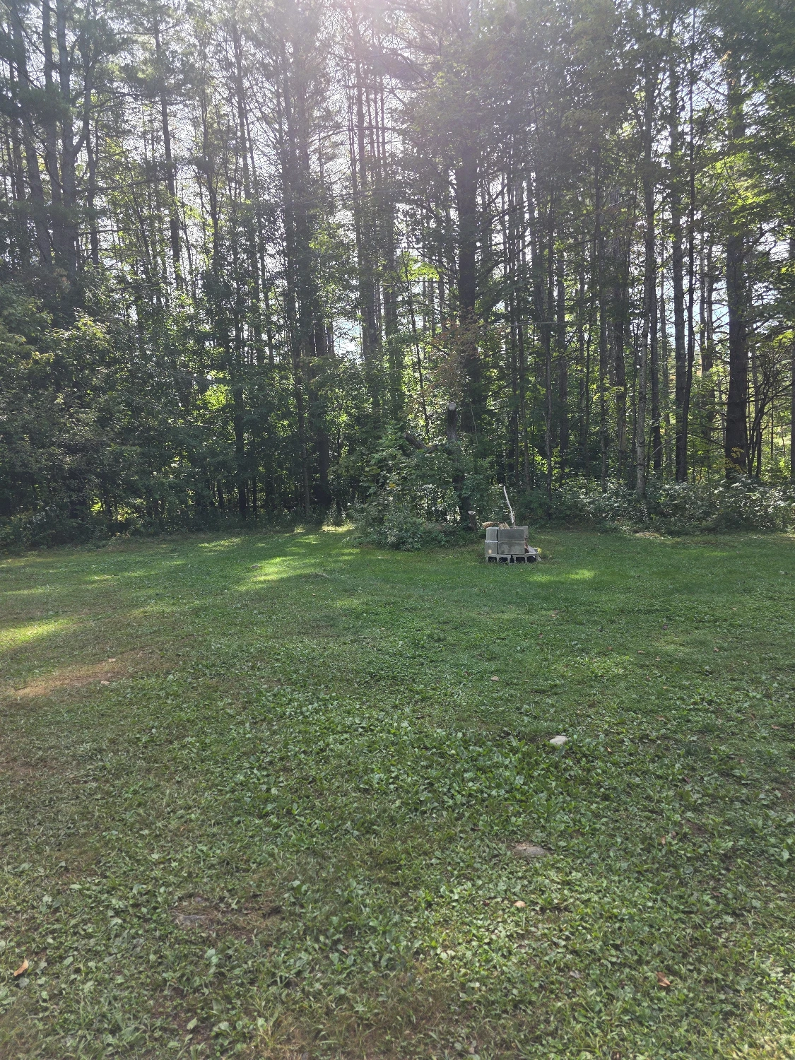 Campstore! | Adirondack Business + Land
