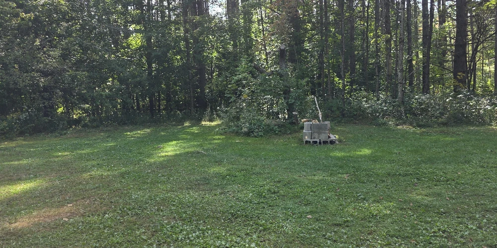 Campstore! | Adirondack Business + Land