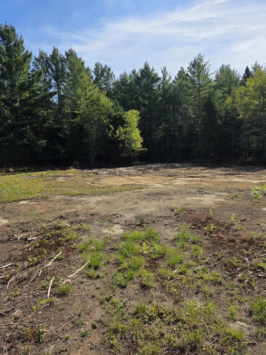 Campstore! | Adirondack Business + Land