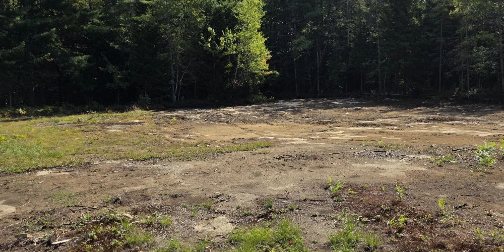 Campstore! | Adirondack Business + Land