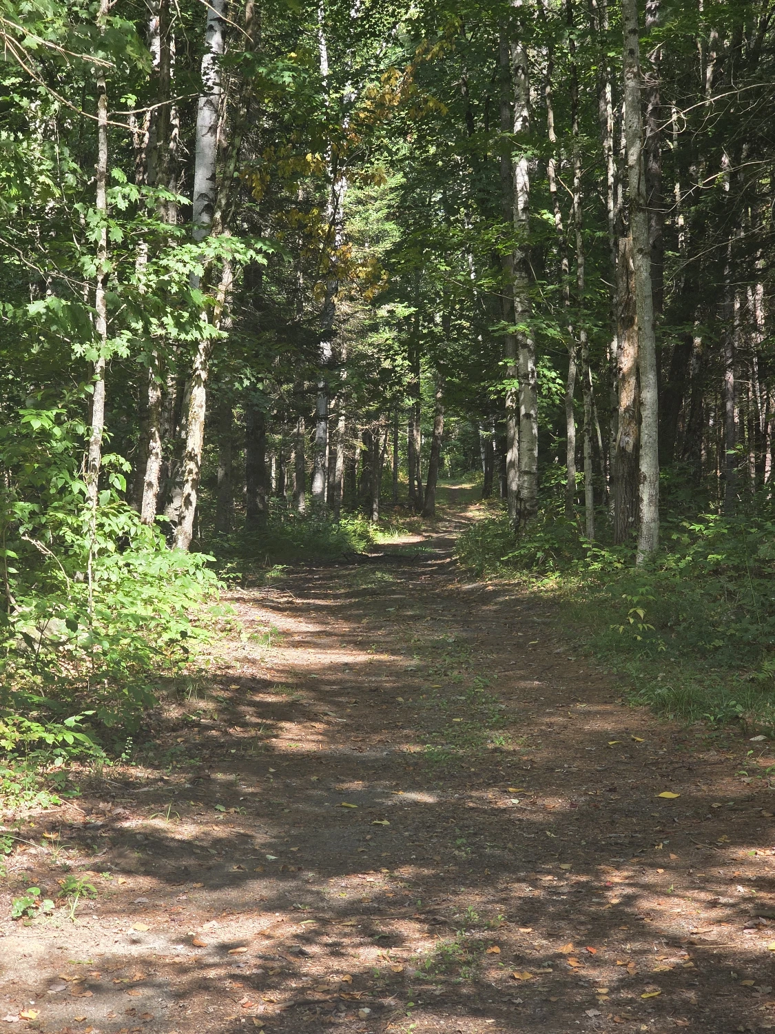 Campstore! | Adirondack Business + Land