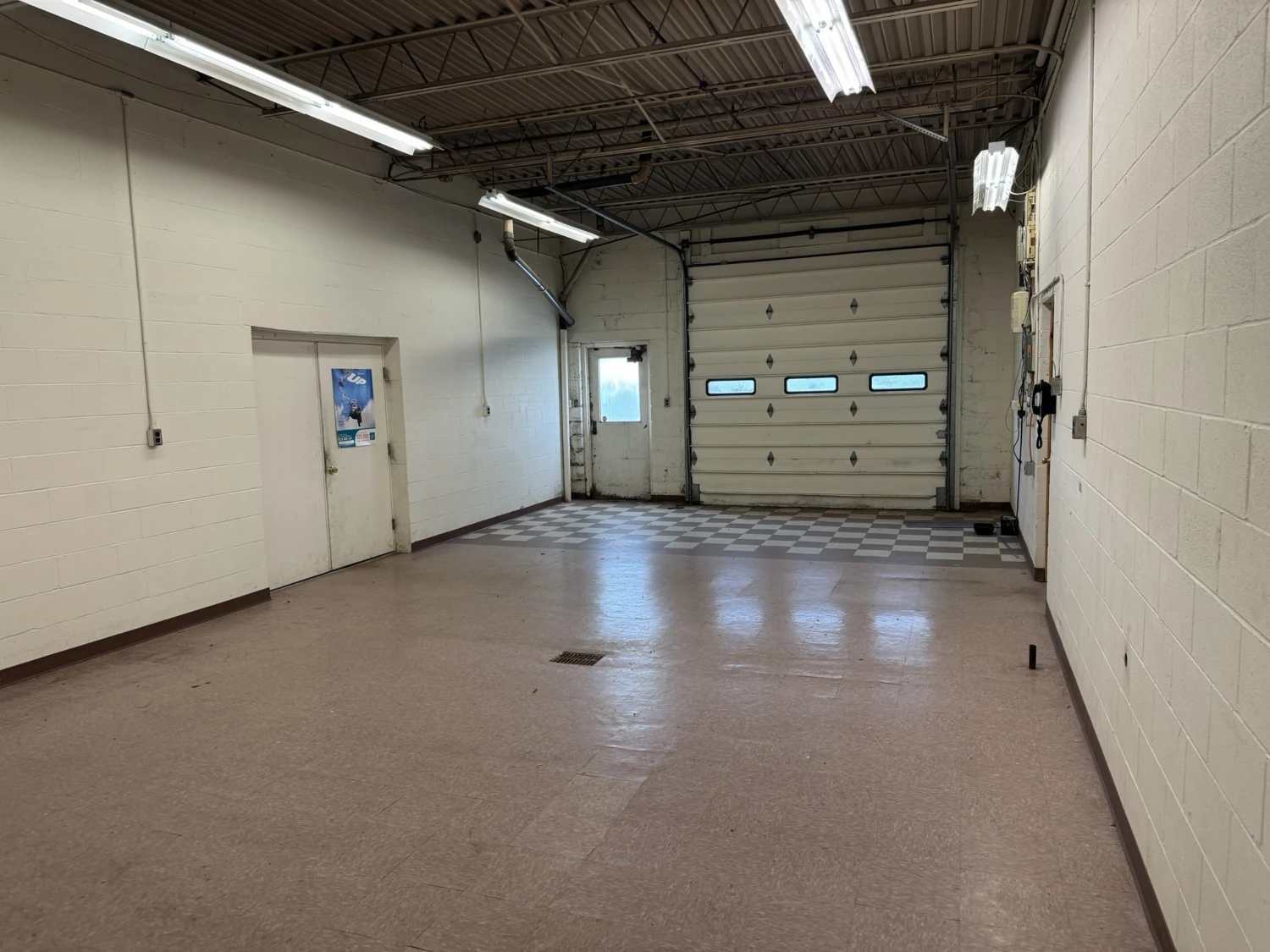 Oneida Multi-Use Flex Asset
