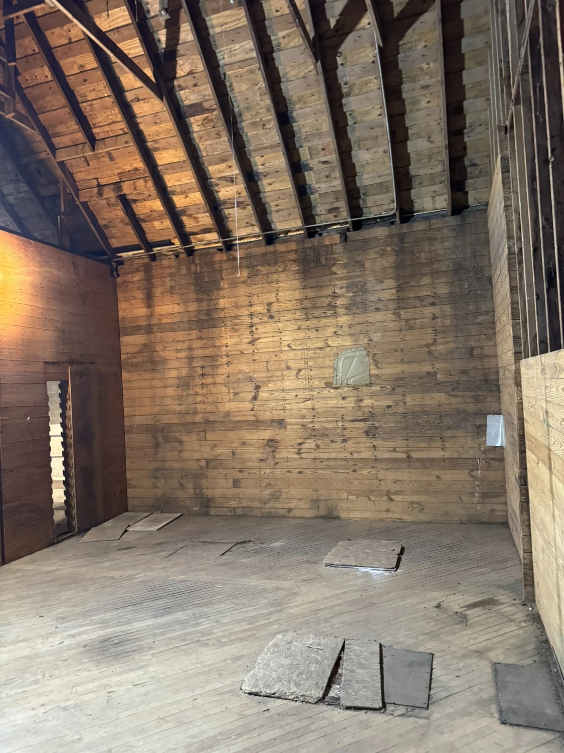 Oneida Multi-Use Flex Asset