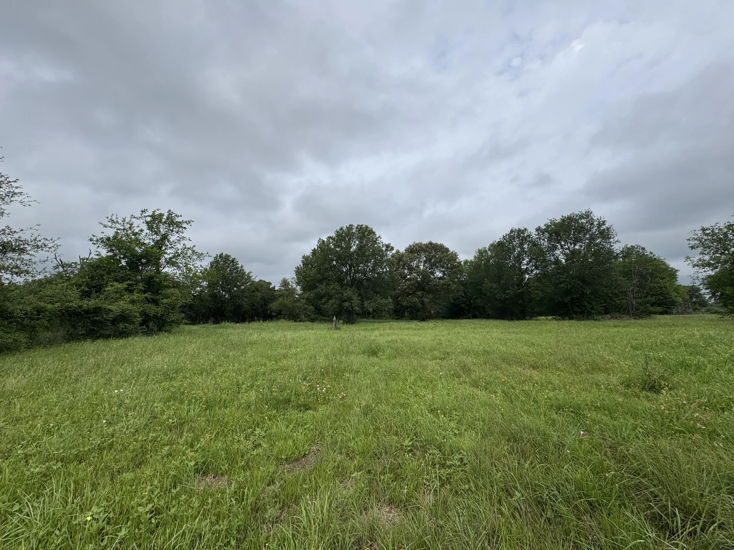 3552 S State Highway 19 - 5 AC in Emory for Investor or Owner/User