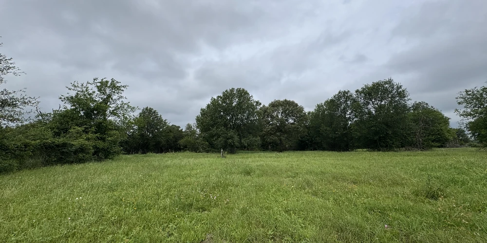 3552 S State Highway 19 - 5 AC in Emory for Investor or Owner/User