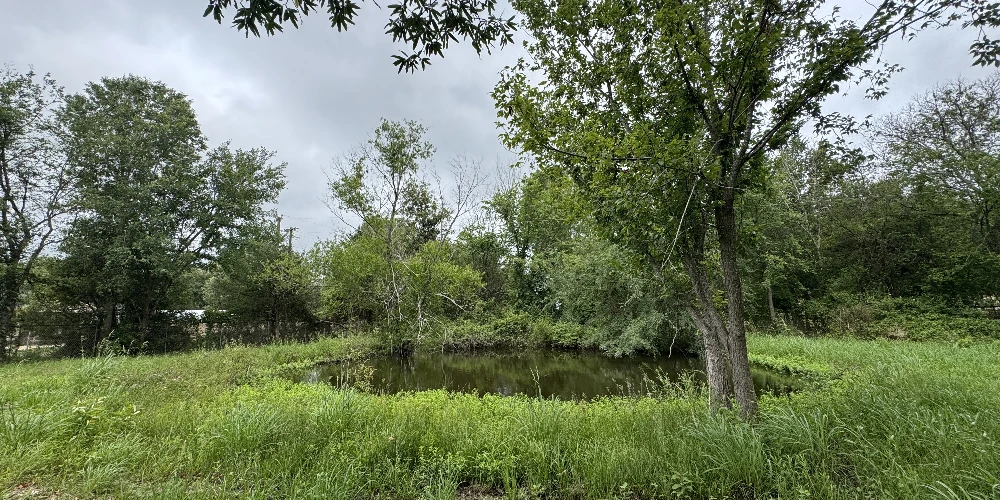 3552 S State Highway 19 - 5 AC in Emory for Investor or Owner/User