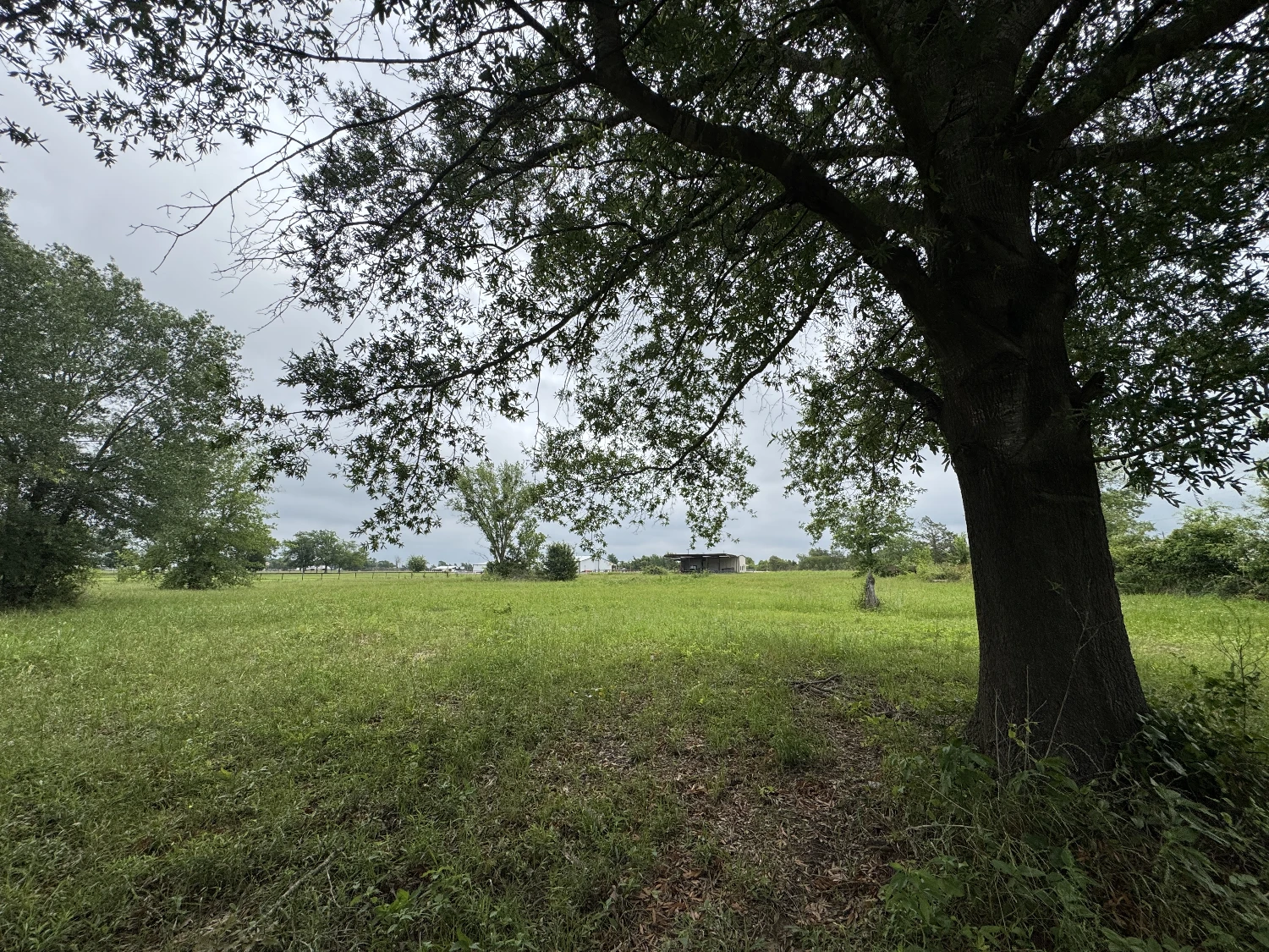 3552 S State Highway 19 - 5 AC in Emory for Investor or Owner/User