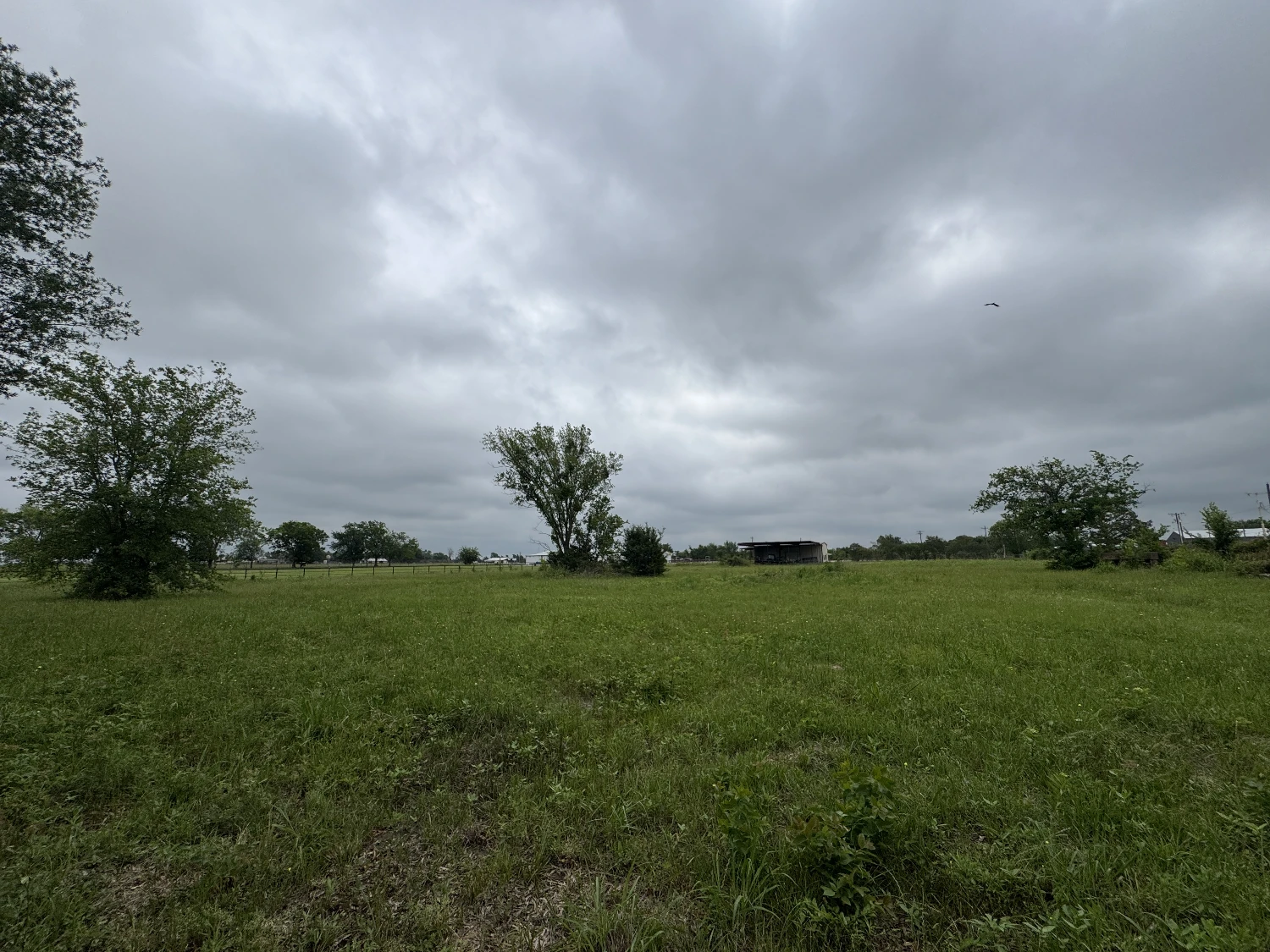 3552 S State Highway 19 - 5 AC in Emory for Investor or Owner/User