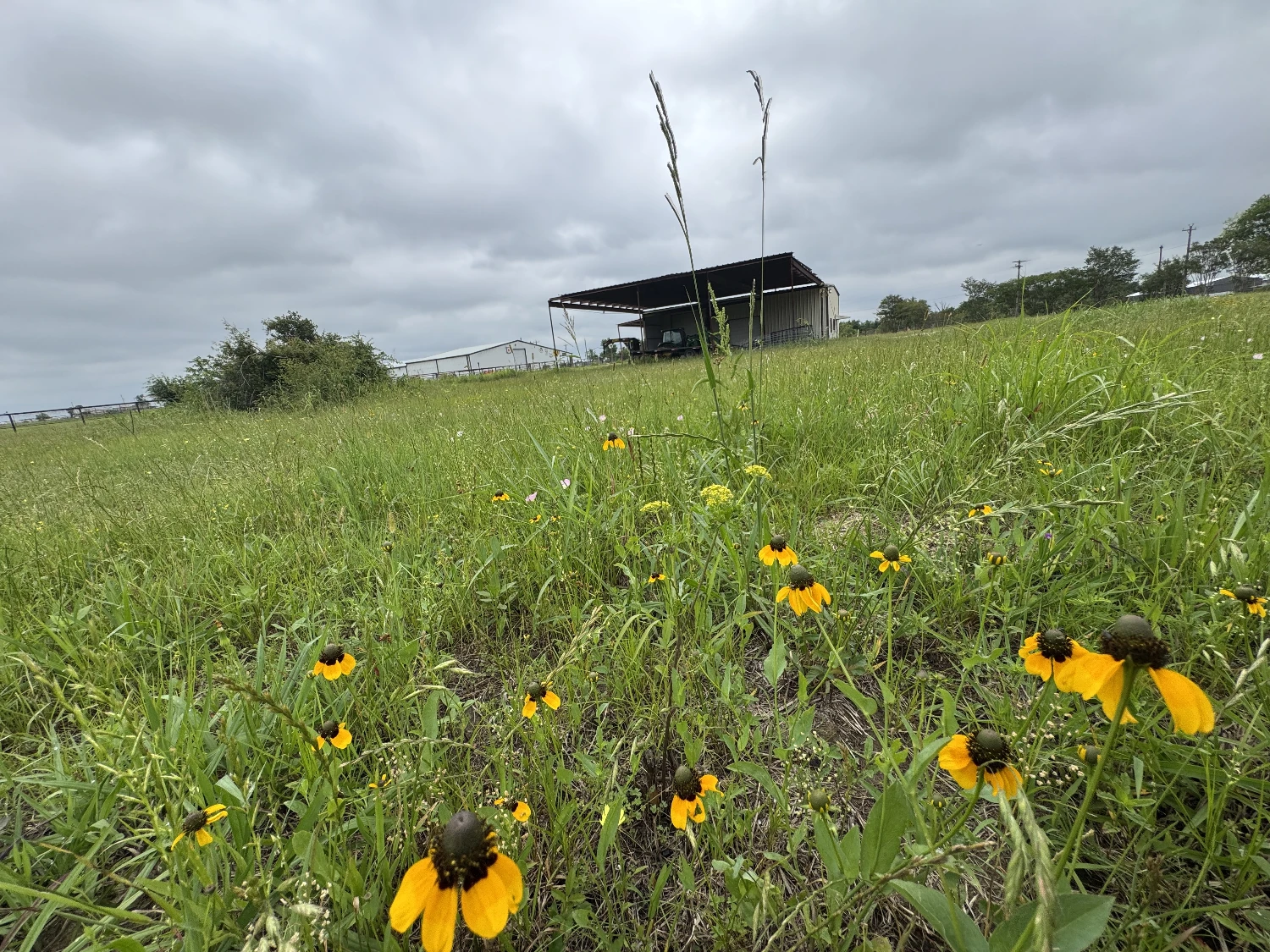 3552 S State Highway 19 - 5 AC in Emory for Investor or Owner/User