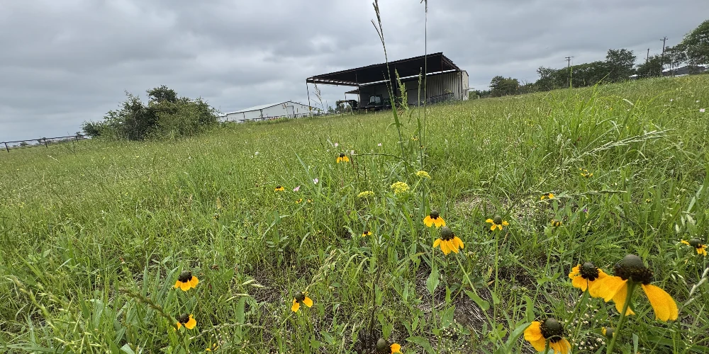 3552 S State Highway 19 - 5 AC in Emory for Investor or Owner/User