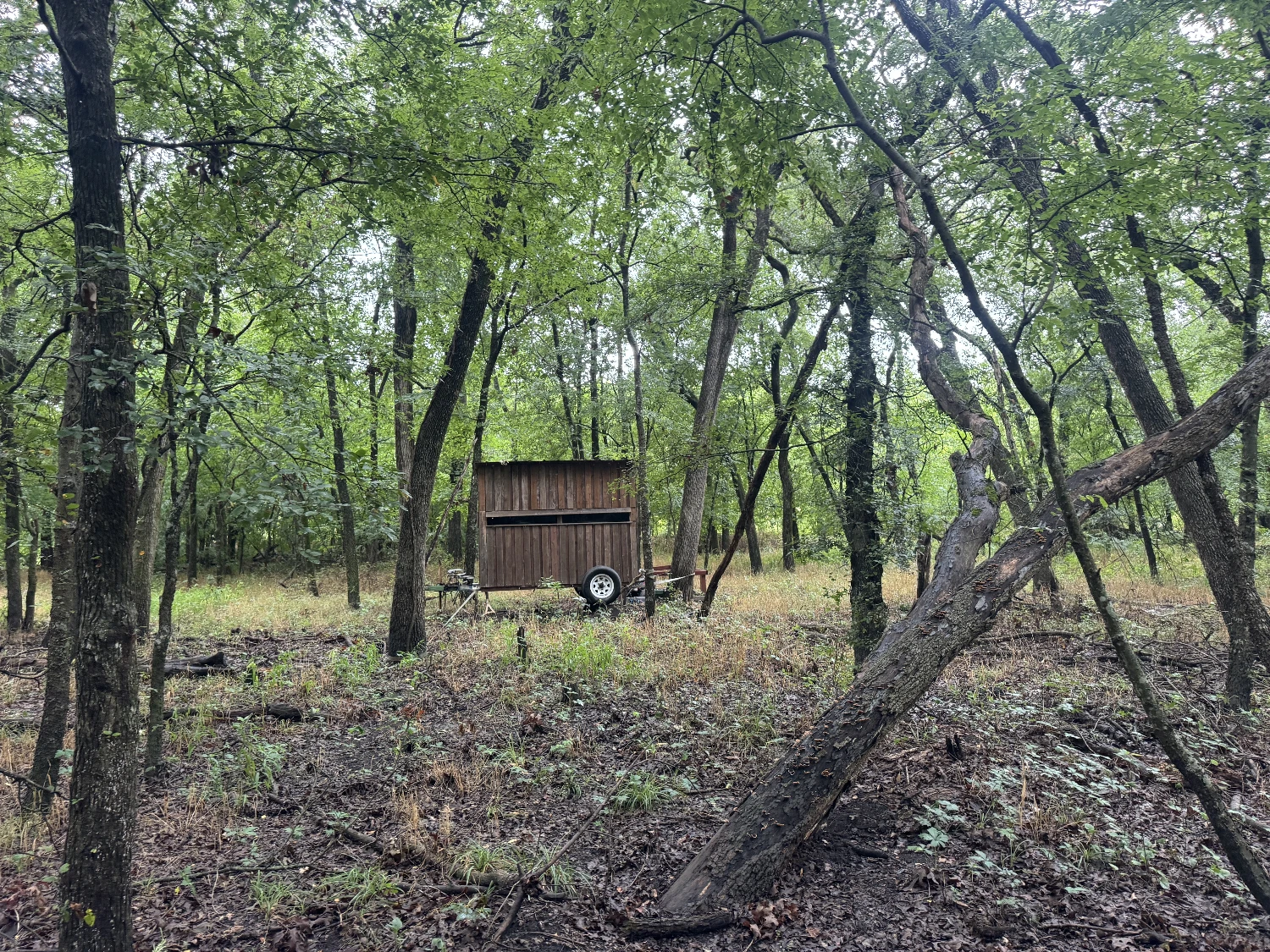 Highway 276 - 37.15 AC Hunting/Recreation Royse City