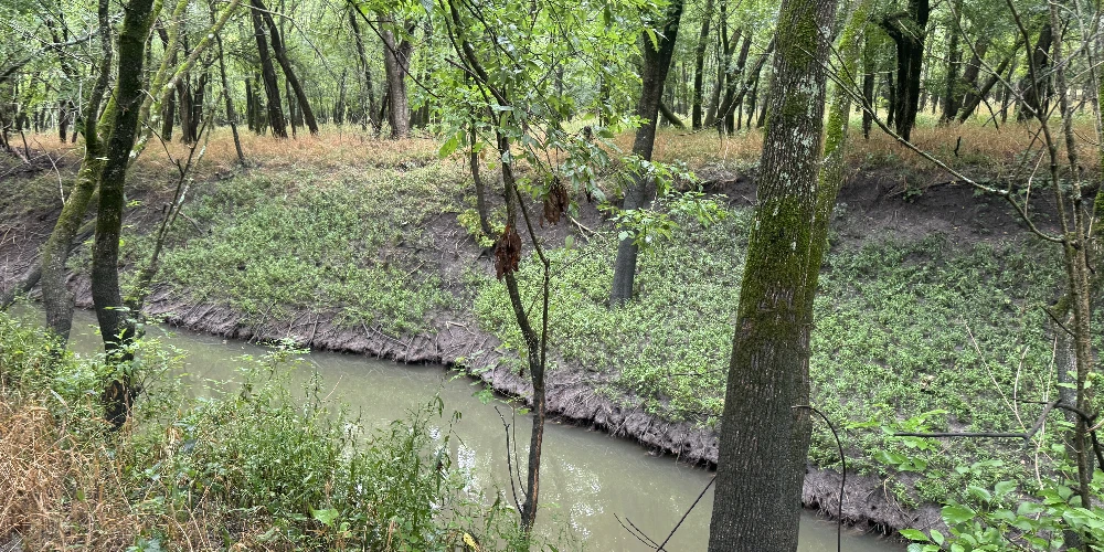 Highway 276 - 37.15 AC Hunting/Recreation Royse City