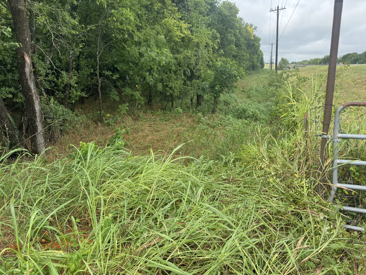 Highway 276 - 37.15 AC Hunting/Recreation Royse City