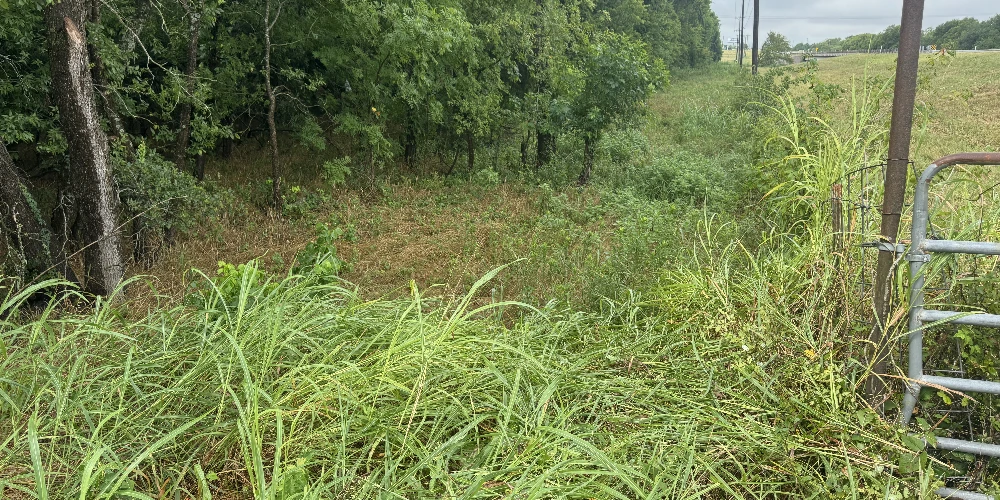 Highway 276 - 37.15 AC Hunting/Recreation Royse City