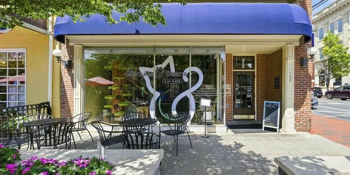 Prime Turnkey Mixed-Use Property on Historic Downtown Mall