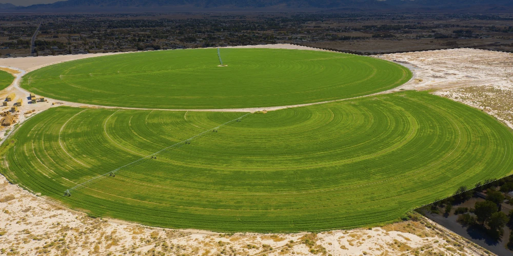 Pechstein Ranch