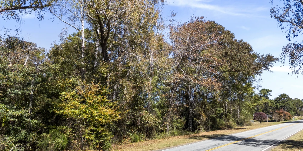8 Acres Land- HWY 29- Near Lake Hartwell- No Zoning