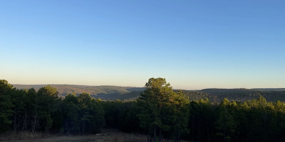 Pinewatch Cabins