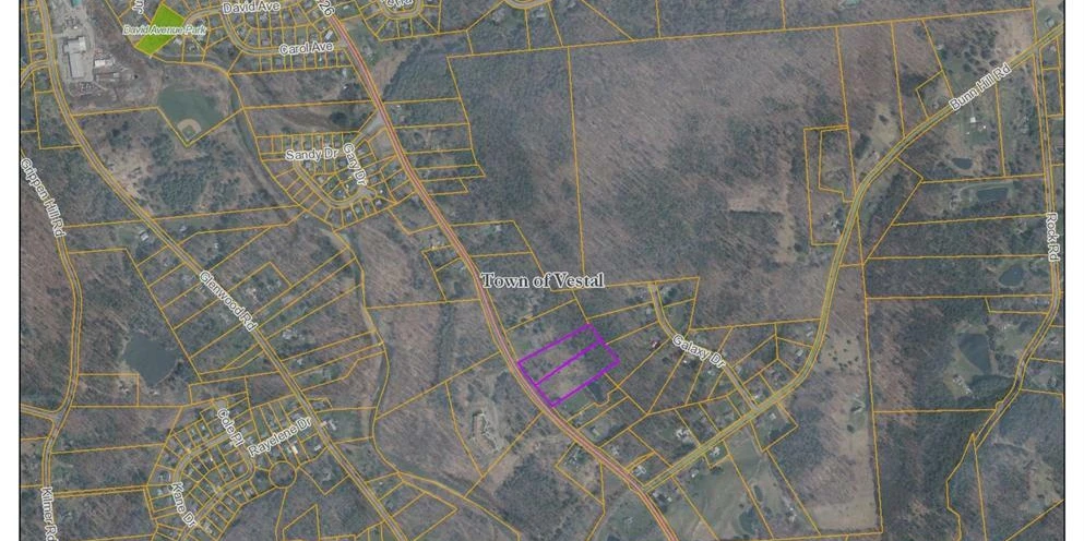 2025/2029 State Route 26, Vestal, NY for sale