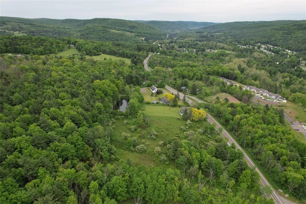 2025/2029 State Route 26, Vestal, NY for sale