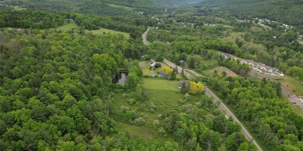 2025/2029 State Route 26, Vestal, NY for sale